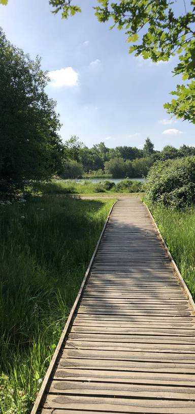 Preview of Slyfield lock and nature reserve