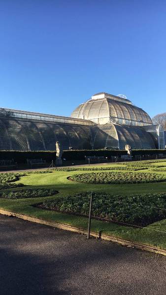Preview of A day at Kew
