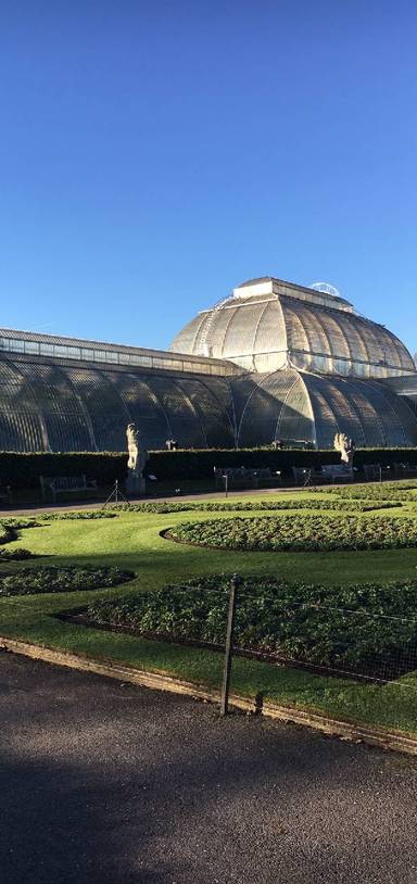 Preview of A day at Kew