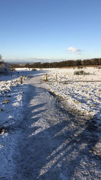 Cathkin braes mountain discount bike