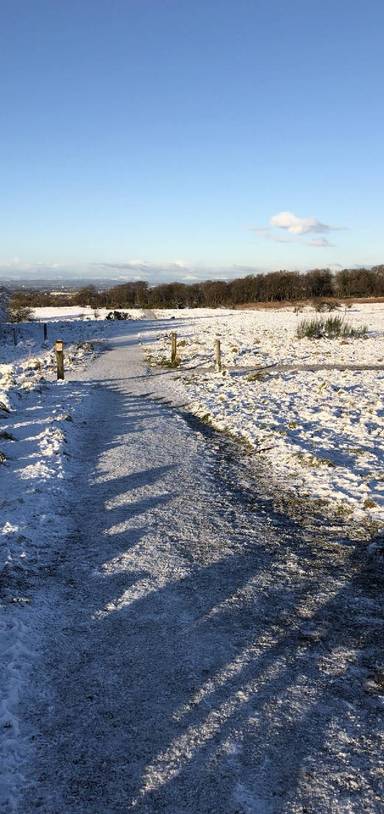 Preview of Cathkin Braes Mountain Bike Trail