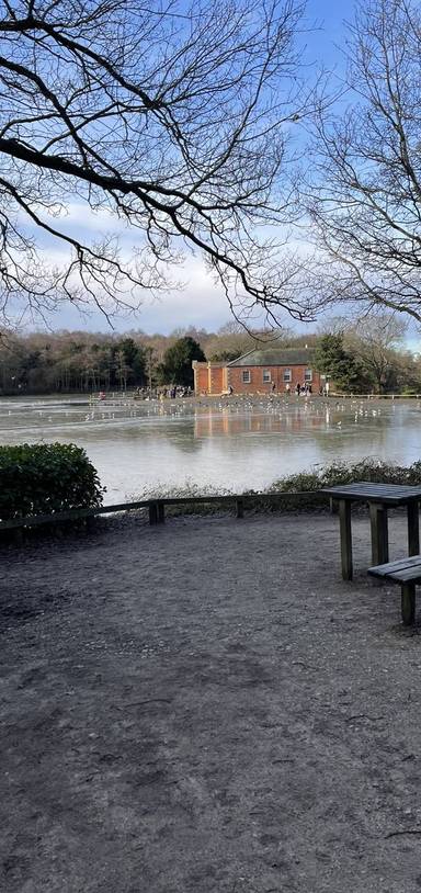 Preview of Edwinstowe and Rufford Abbey.