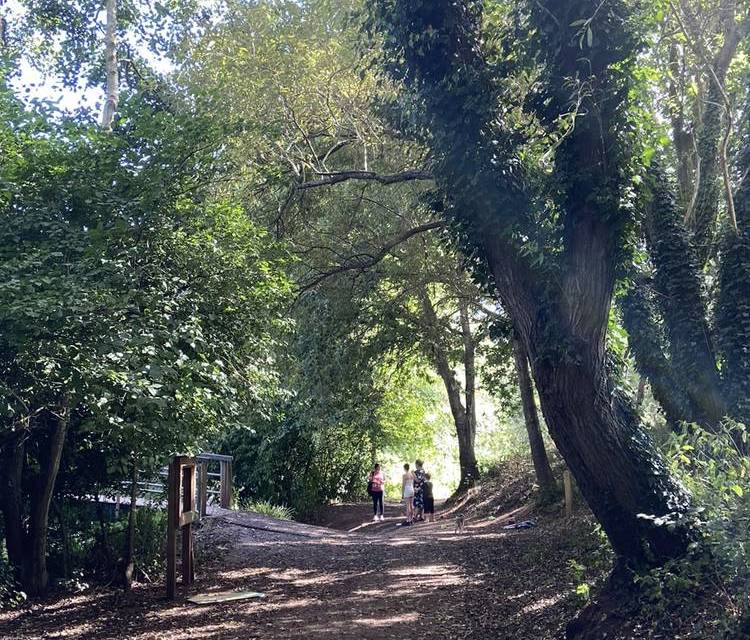 Preview of Ludwell Valley Brookside Circular