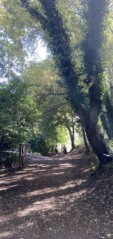 Preview of Ludwell Valley Brookside Circular