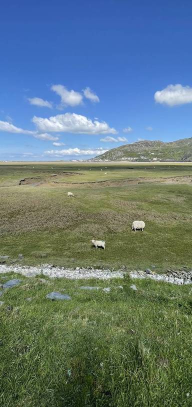 Preview of Pont y Bermo a Hwyl ar y Fferi