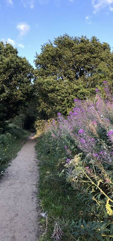 Preview of The Aylsham Workhouse Loop