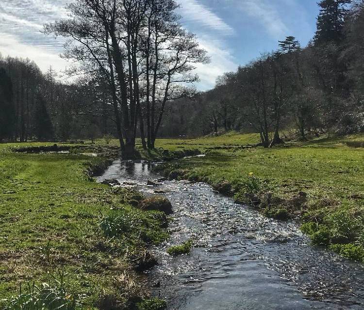 Preview of Colby Woodland Garden (Nat Trust)