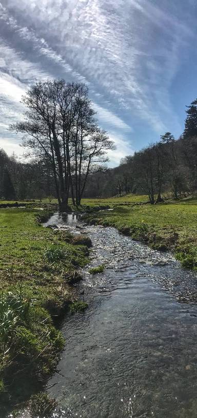 Preview of Colby Woodland Garden (Nat Trust)