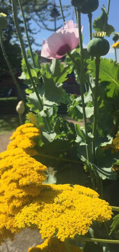 Preview of Playground heaven for little ones π