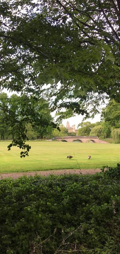 Preview of DarwinWelfare: Riverside