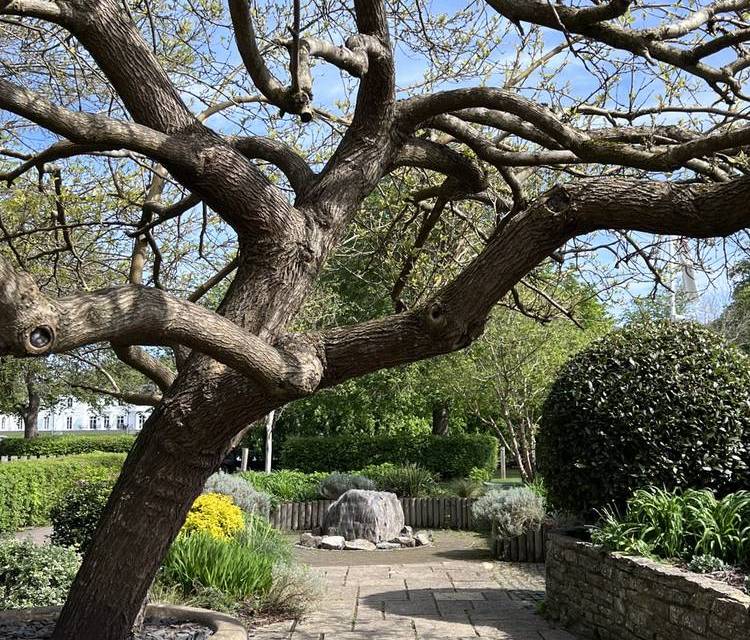 Preview of Henley-on-Thames Step Free Trail