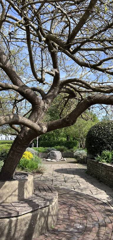 Preview of Henley-on-Thames Step Free Trail