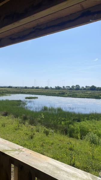 Preview of Solway Wetlands & Campfield Marsh