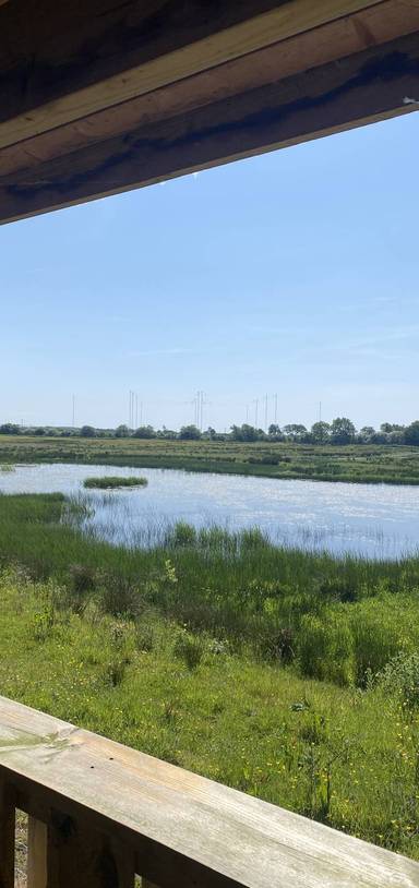 Preview of Solway Wetlands & Campfield Marsh