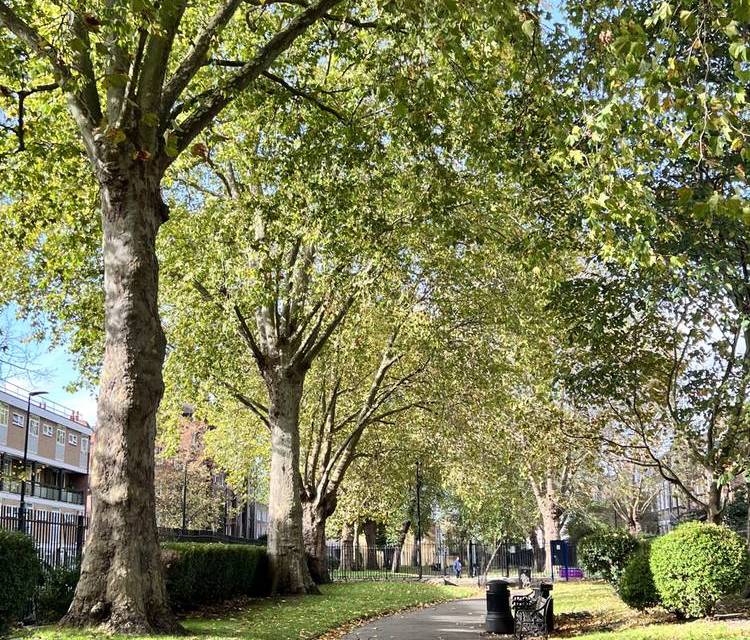 Preview of Whitechapel Wandering to City Farm
