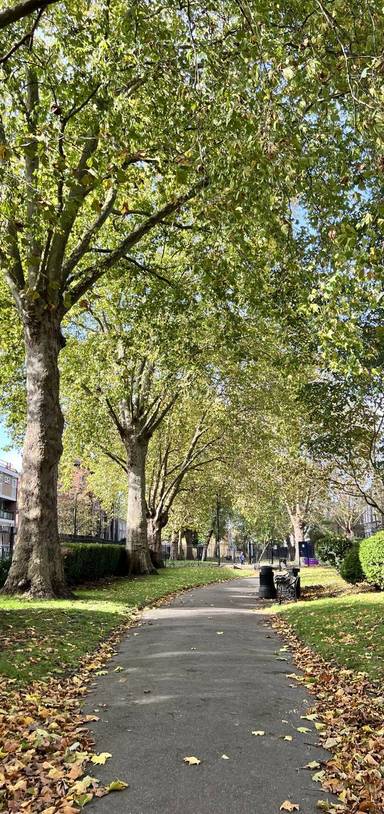 Preview of Whitechapel Wandering to City Farm 