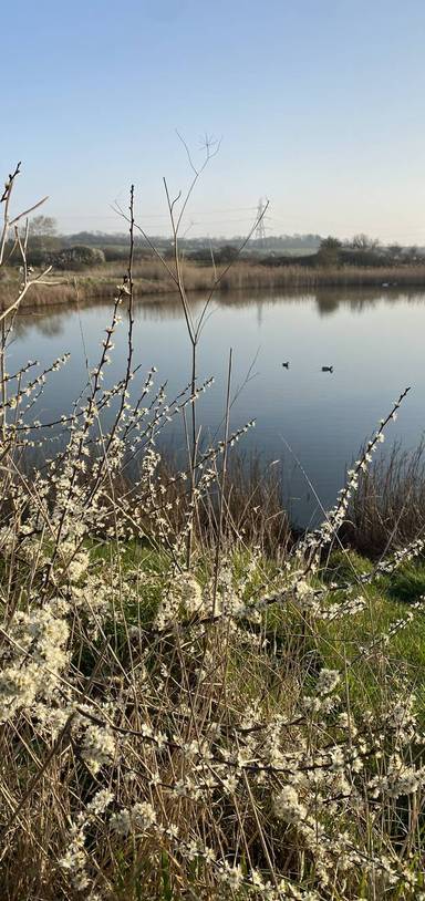 Preview of The South Woodham Ferrers Wander