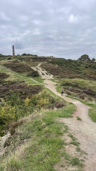 Preview of Bristol Ring Section 1