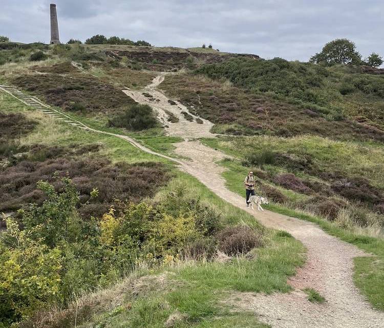 Preview of Bristol Ring Section 1