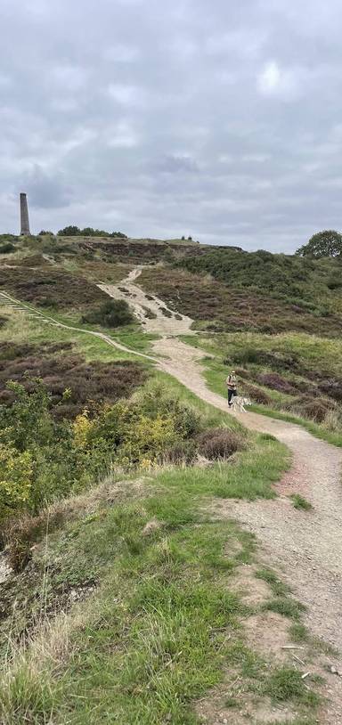 Preview of Bristol Ring Section 1