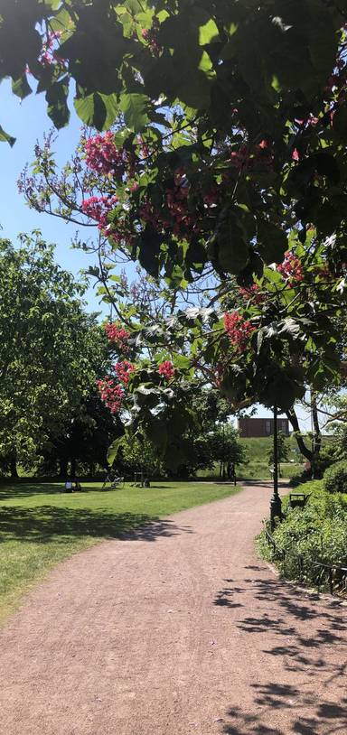 Preview of Malmö’s Torgets and Slottsparken 
