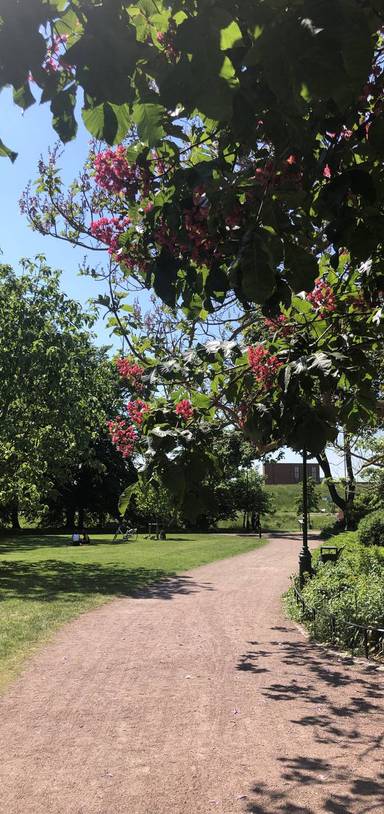 Preview of Malmö’s Torgets and Slottsparken