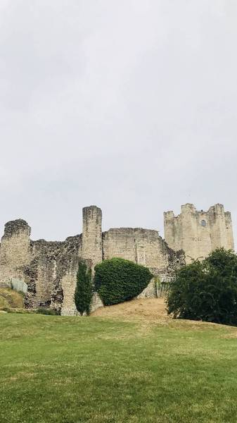 Preview of Castle ruins in Conisbrough