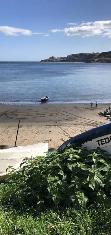 Preview of Runswick Bay