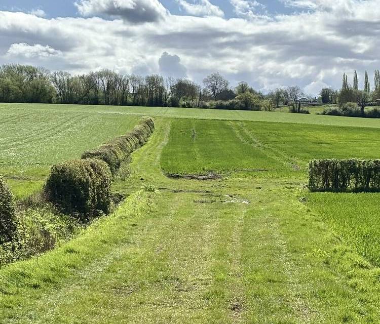 Preview of London Loop Section 20