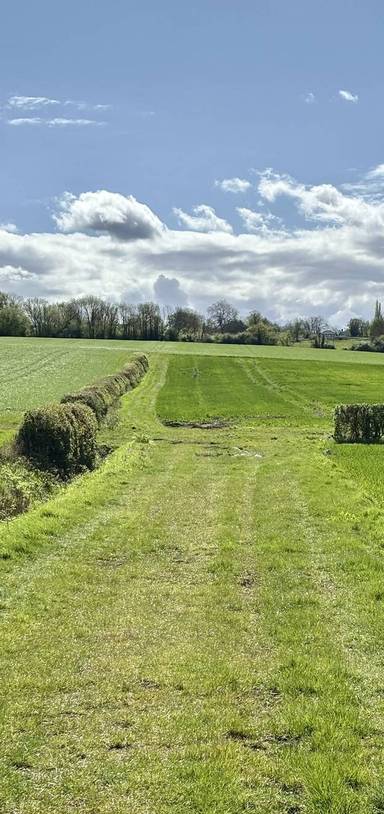 Preview of London Loop Section 20