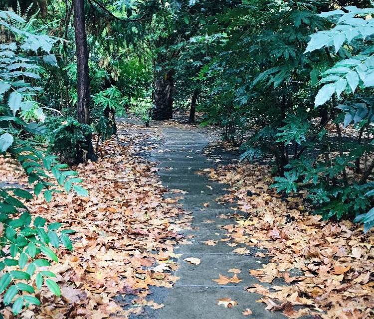 Preview of The Jubilee Walkway Section 4