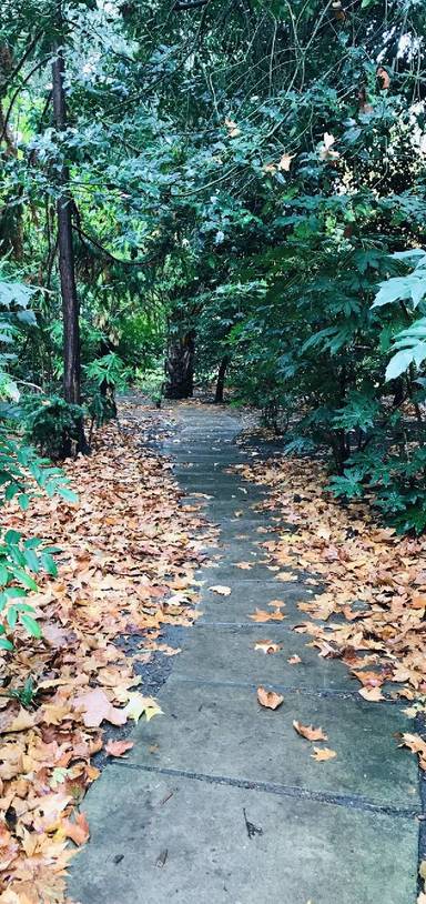 Preview of The Jubilee Walkway Section 4