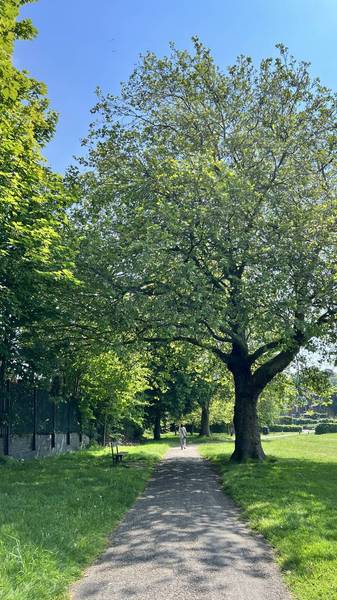 Preview of Mini Mindfulness Walk