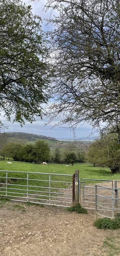 Preview of Up to Broadway Tower