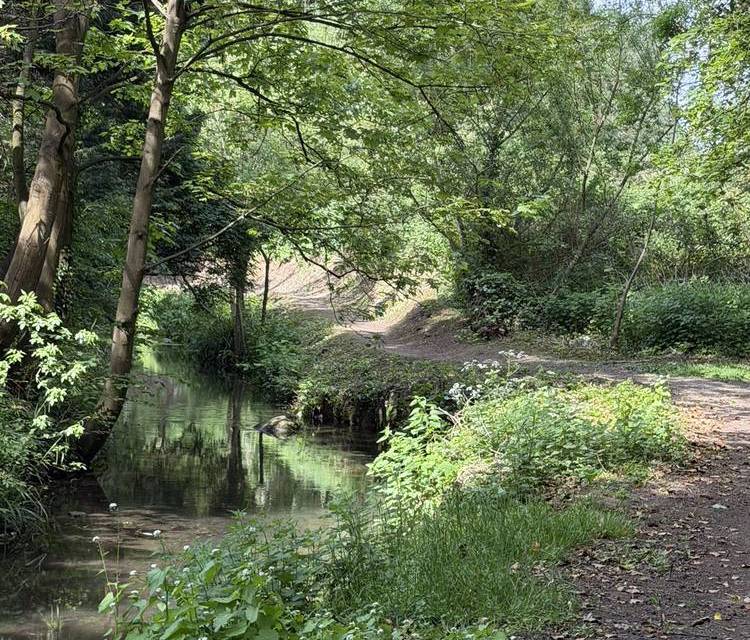 Preview of Hitchin North Loop
