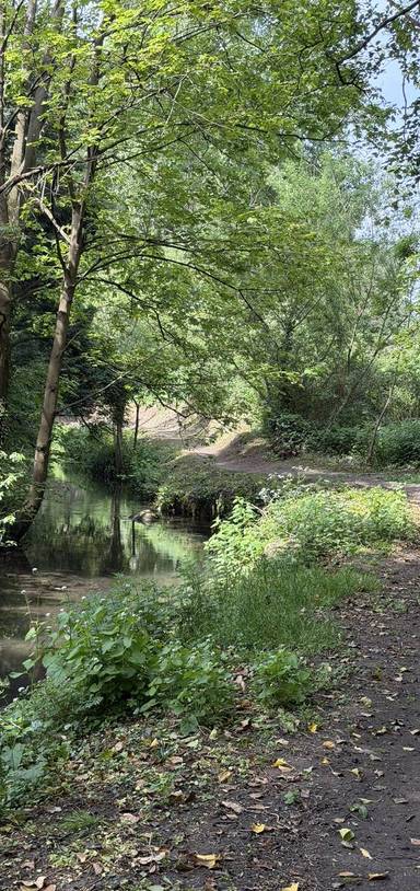 Preview of Hitchin North Loop