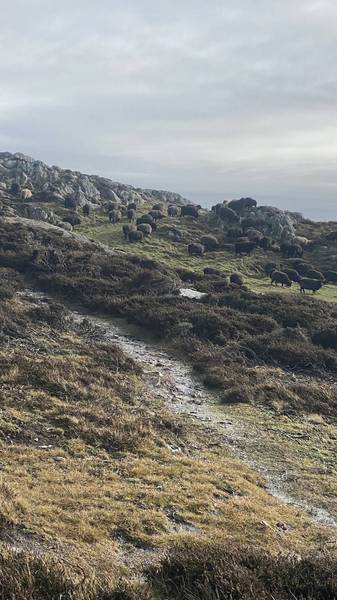 Preview of Holyhead mountain walk