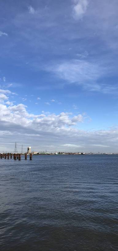 Preview of Capital Ring Section 15