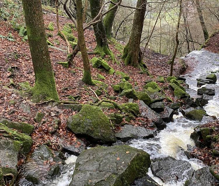 Preview of Cleddon Falls for Little Legs