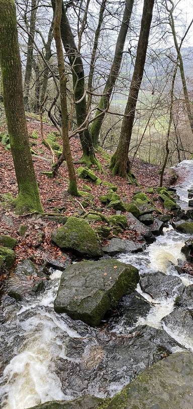 Preview of Cleddon Falls for Little Legs