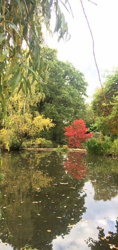 Preview of Exploring Isabella Plantation