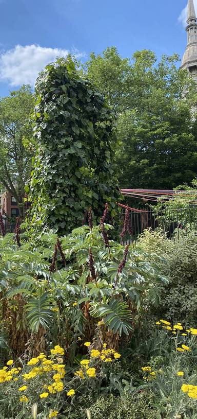 Preview of The Shoreditch Shop Mooch