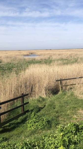 Preview of Cley East Bank & Beach