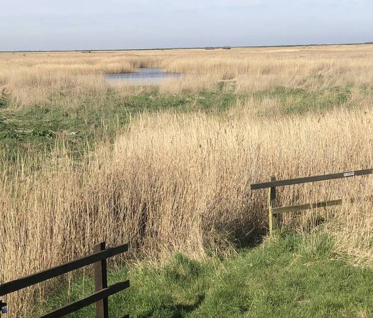 Preview of Cley East Bank & Beach