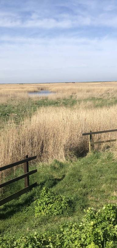 Preview of Cley East Bank & Beach