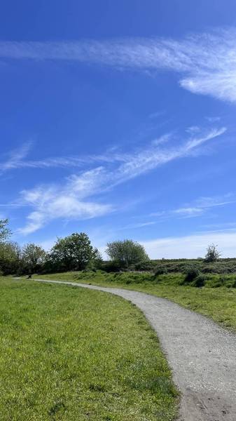 Preview of Carlton Marshes Step-free Wander