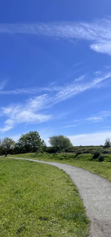 Preview of Carlton Marshes Step-free Wander