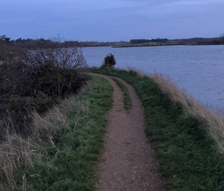 Preview of Martlesham riverside