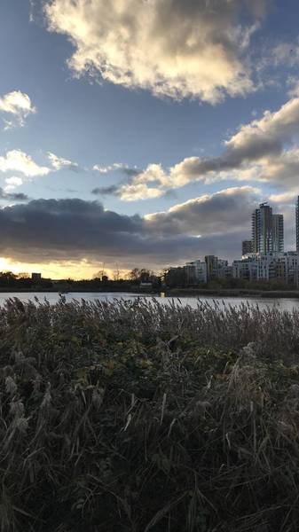 Preview of Woodberry Wetlands Walk