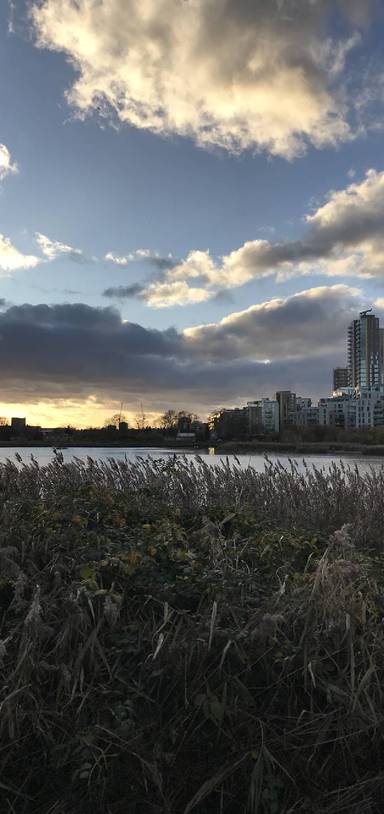 Preview of Woodberry Wetlands Walk